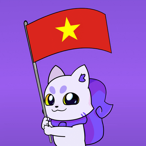 Vietnam Flag